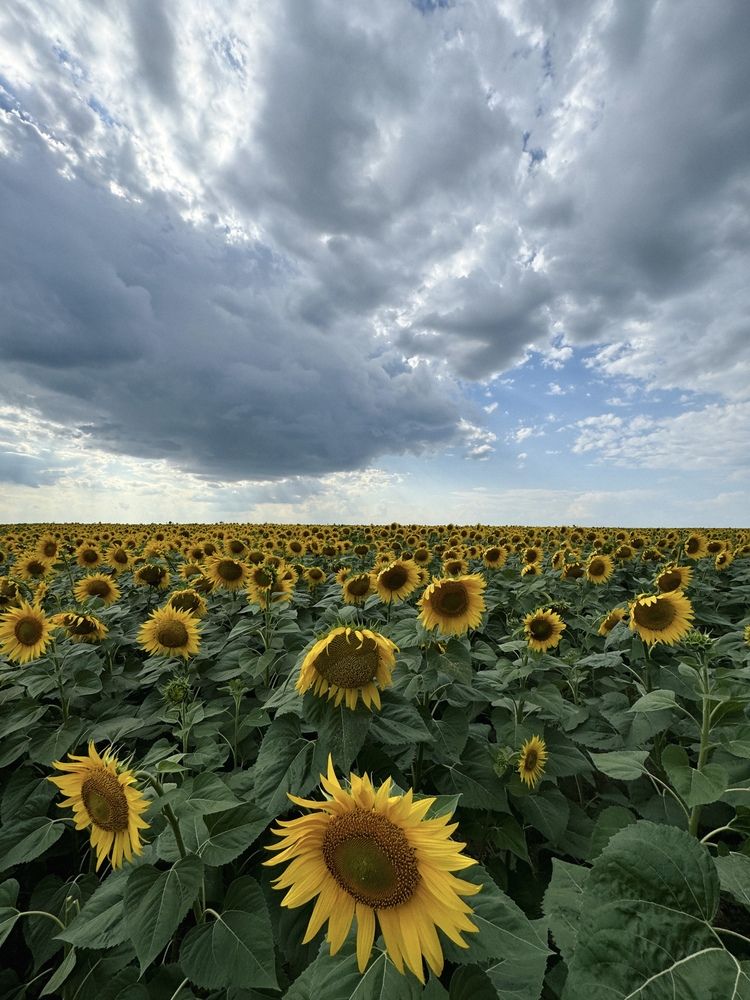 Photograph by Алена Воронова