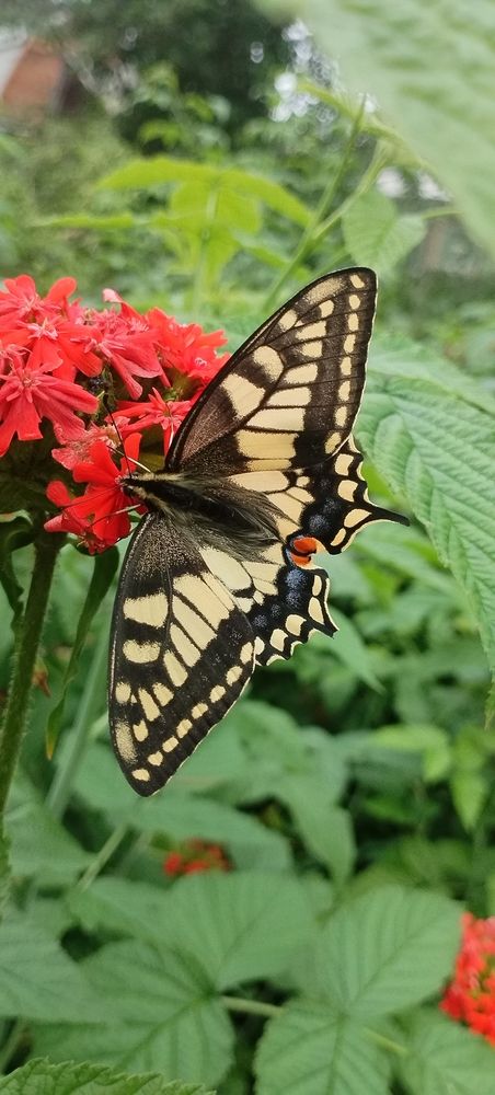 Photograph by Ирина Корнева