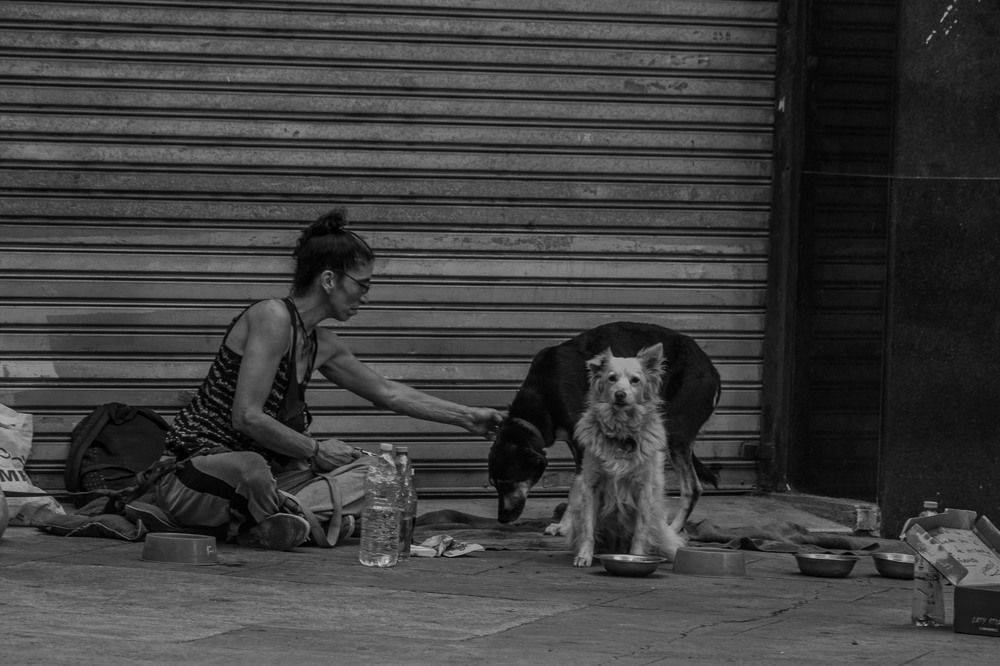 Partners in resilience