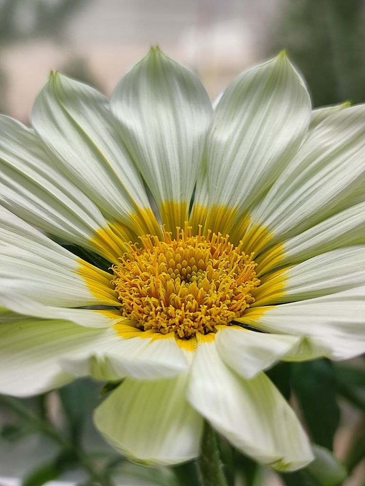 Photograph by Анастасия Дросу