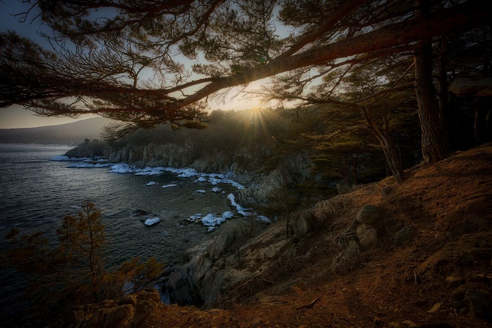 Фотография автора Ivan Godovikov