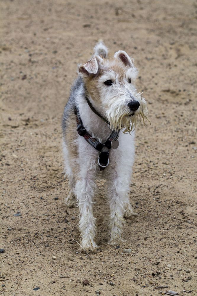 Photograph by Майя Чехова