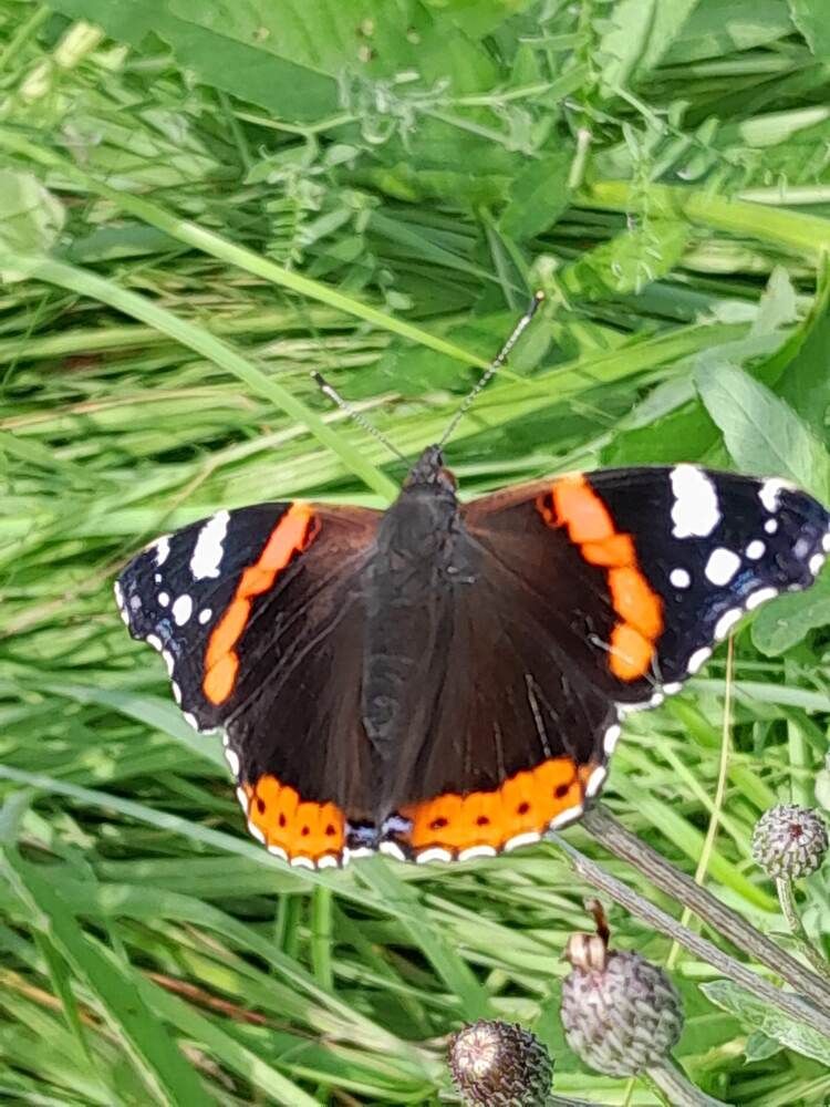 Photograph by Виталий Глазачев