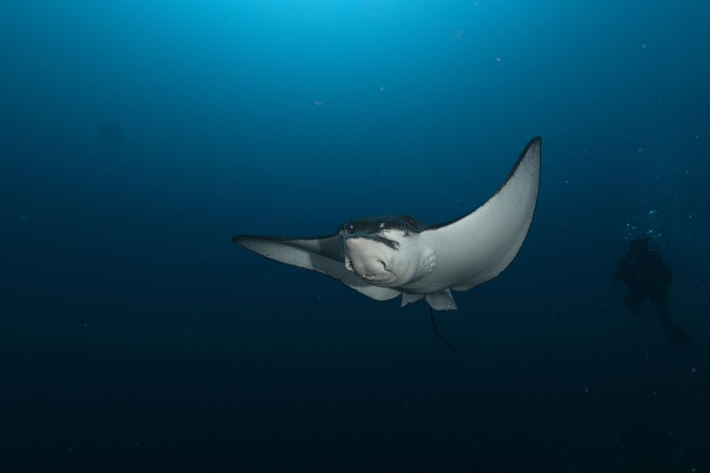 Photograph by Ceci Ver