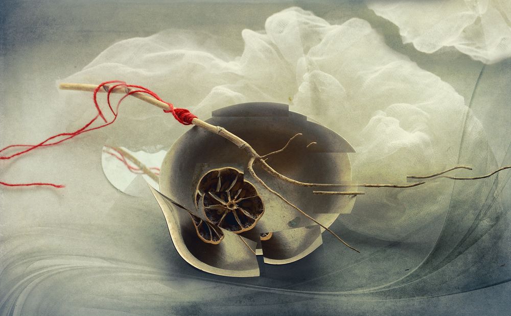 Photograph by Александр Хромеев