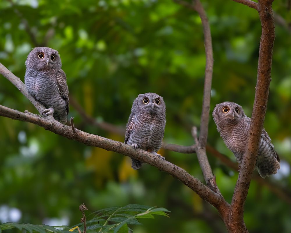 Photograph by Raheel Azim