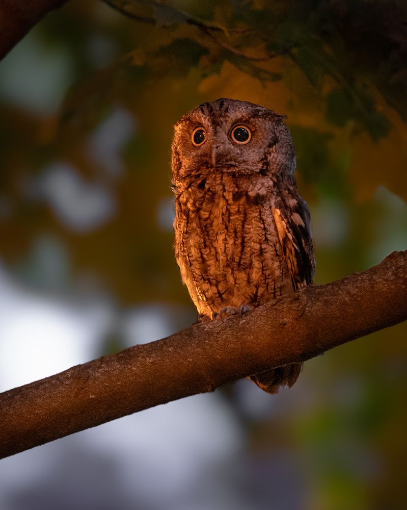 Photograph by Raheel Azim