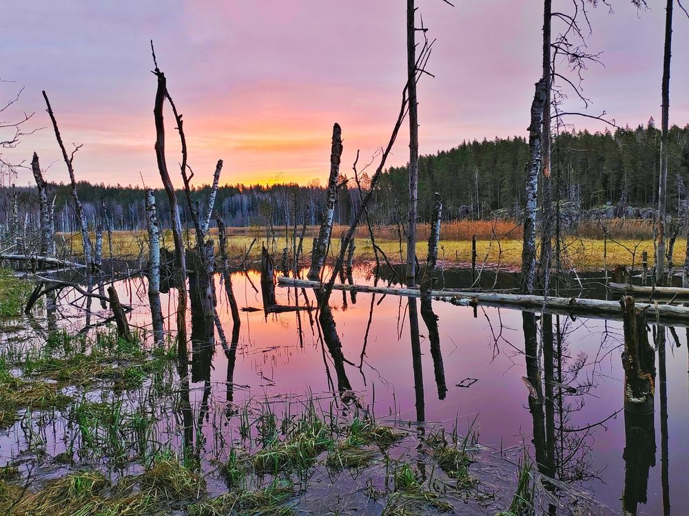 Photograph by Margareth Tikhonova