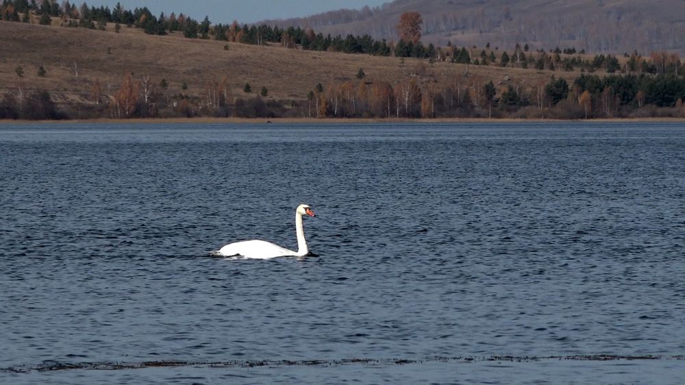 Photograph by Нияз Мирхайдаров