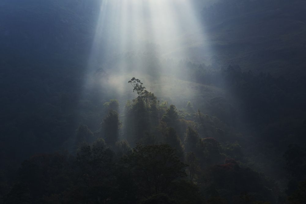 Фотография автора Puneet Verma