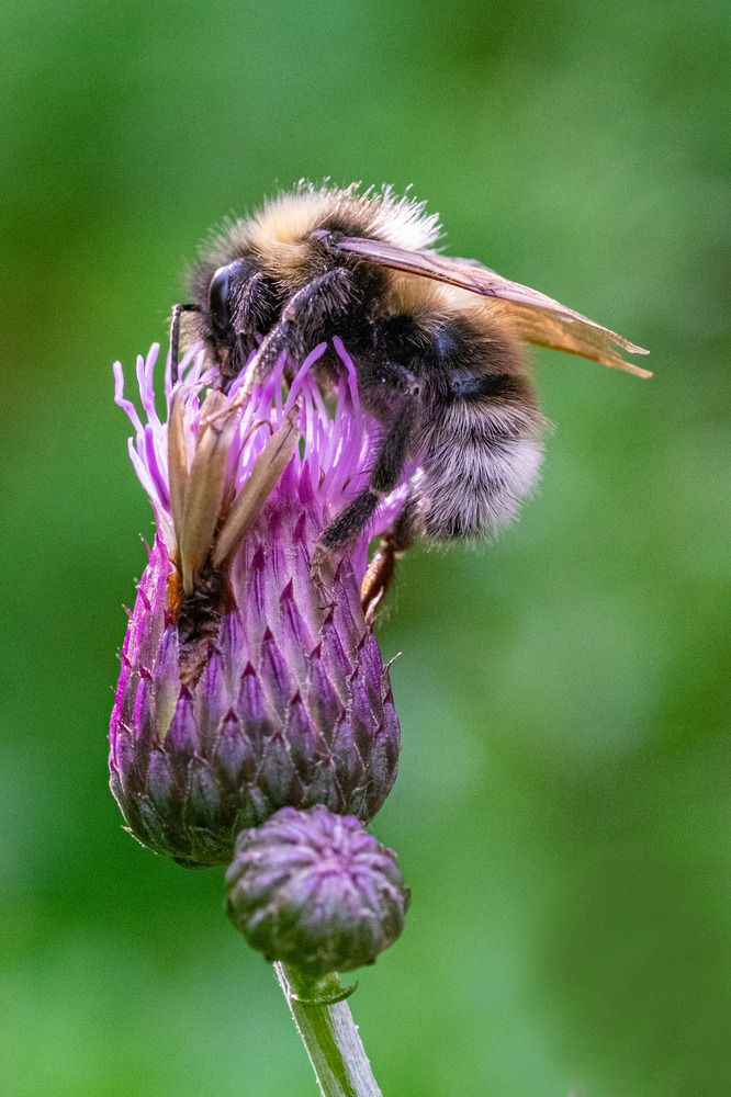 Photograph by ARTEM KORZHUKOV