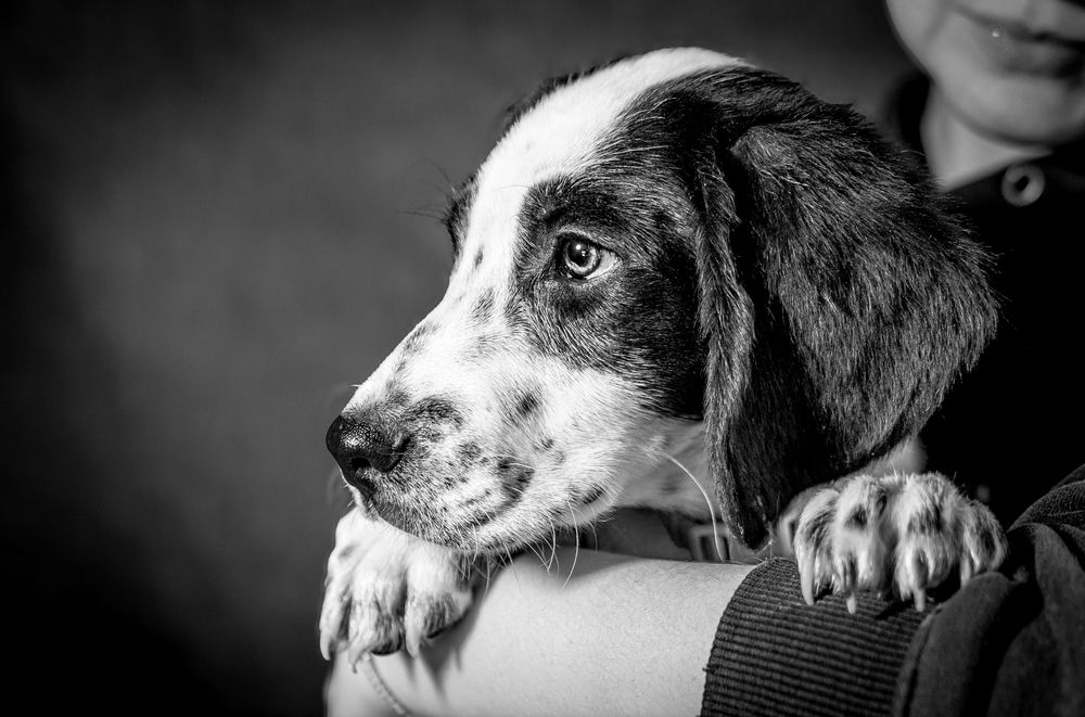 Photograph by Павел Ермилов