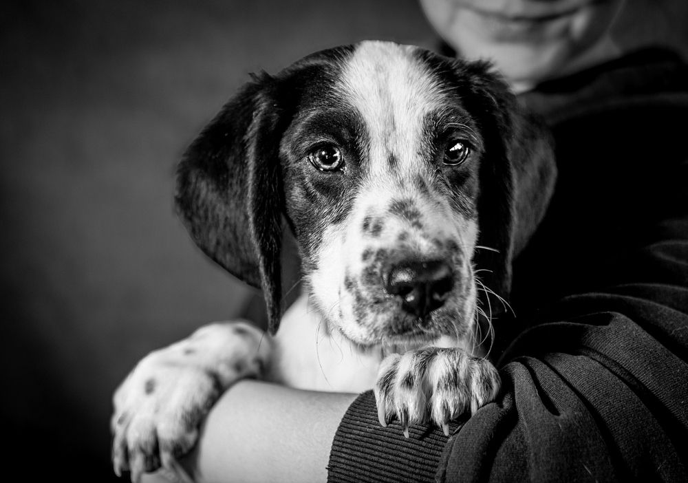 Photograph by Павел Ермилов