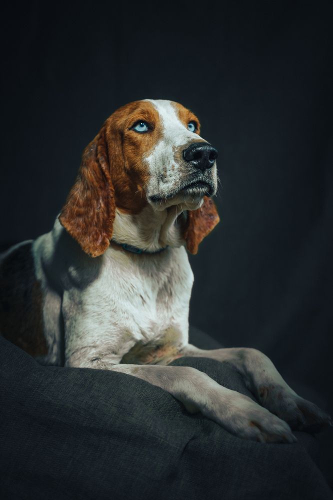 Photograph by Павел Ермилов