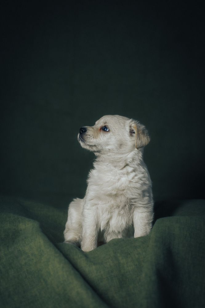 Photograph by Павел Ермилов