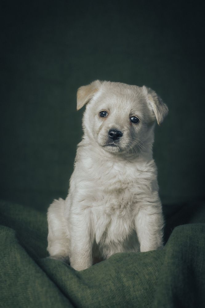 Photograph by Павел Ермилов