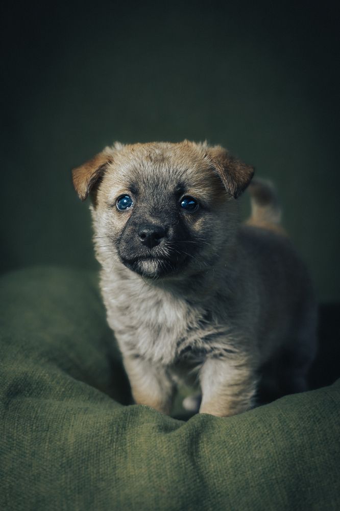 Photograph by Павел Ермилов