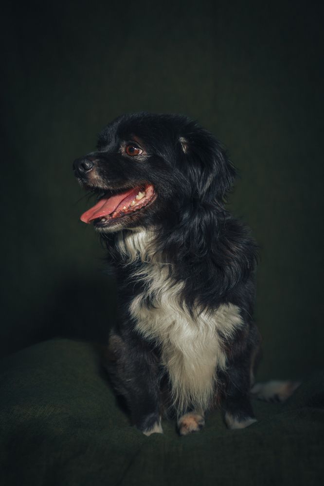 Photograph by Павел Ермилов