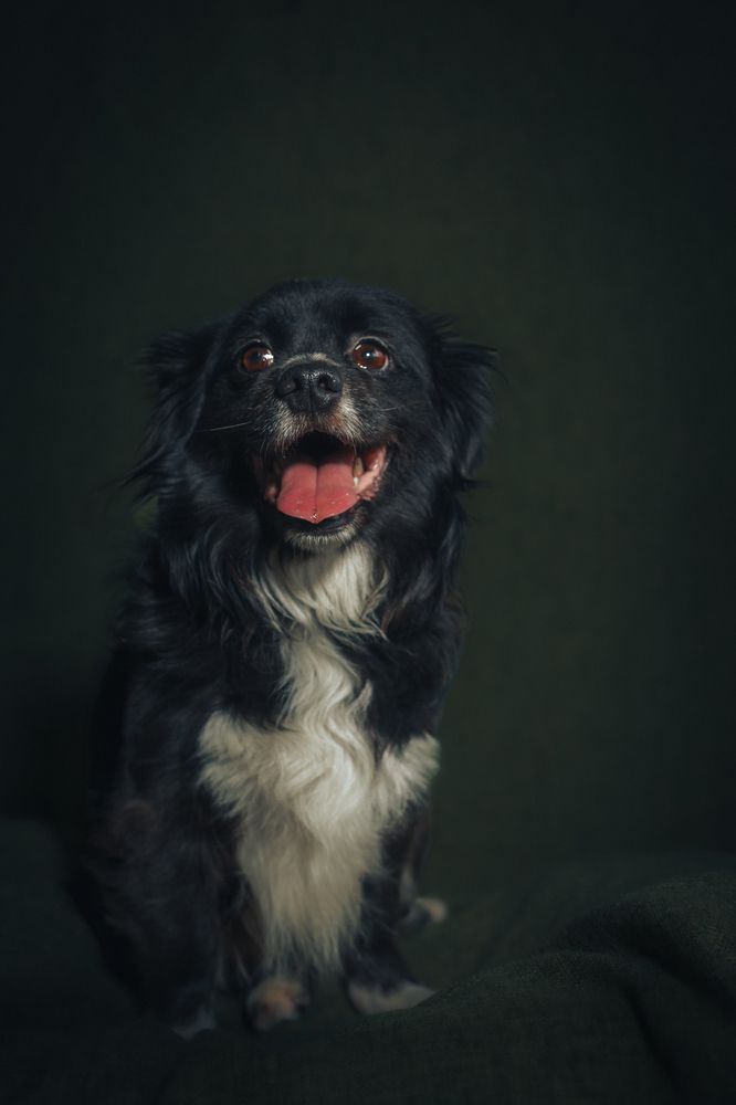 Photograph by Павел Ермилов