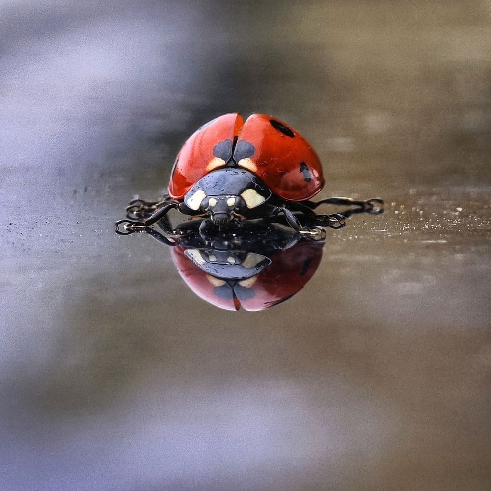 Фотография автора Евгений Былков