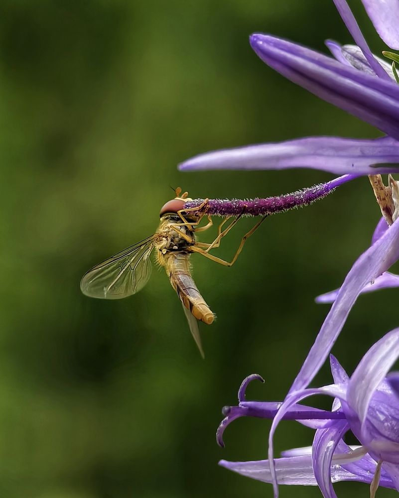 Фотография автора Евгений Былков