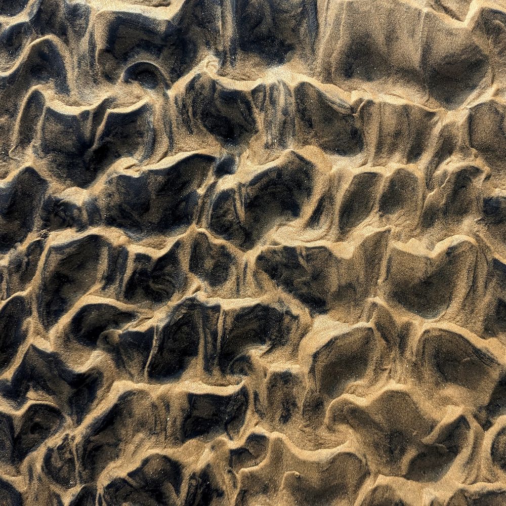 Sand Impressions