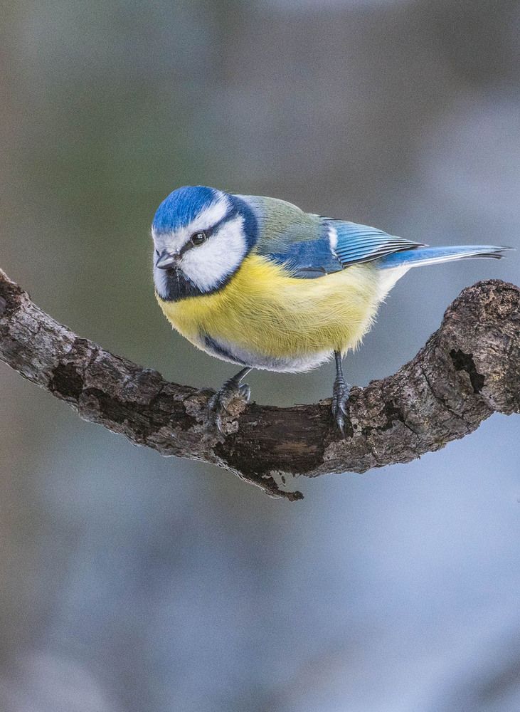 Photograph by Павел Бабенко