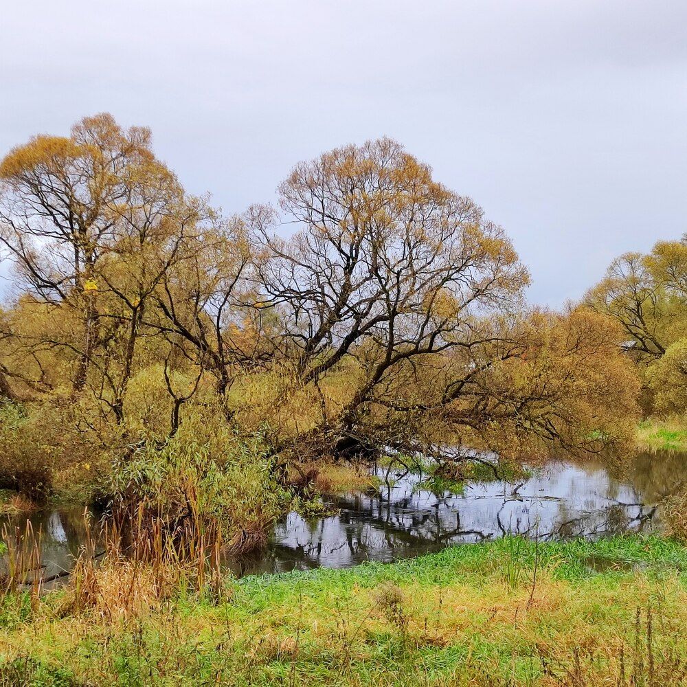 Photograph by Елена Казарина