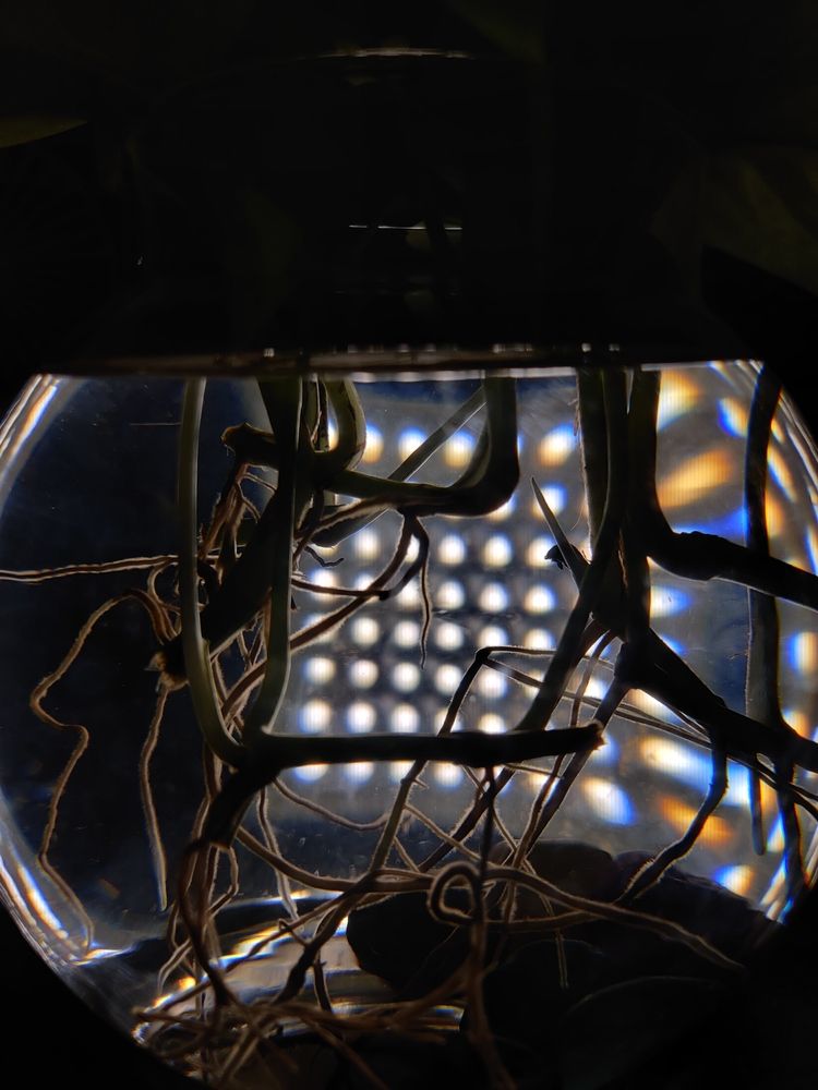 Photo #12024168
