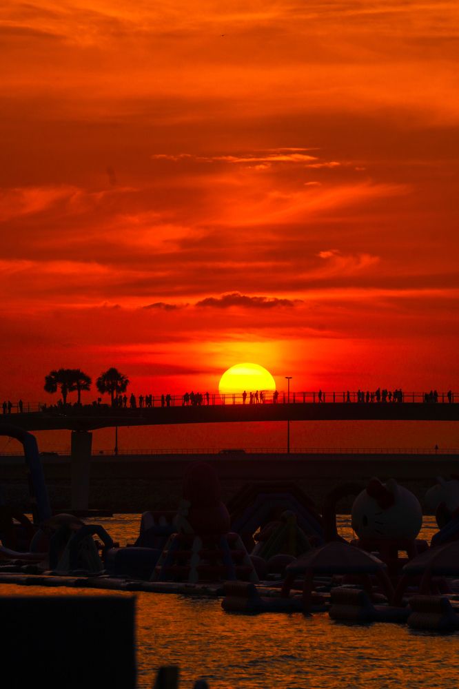 Silhouettes at Dusk: The Beauty of a Fiery Sunset