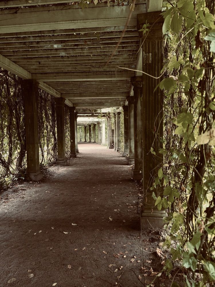 Photograph by Картунова Светлана