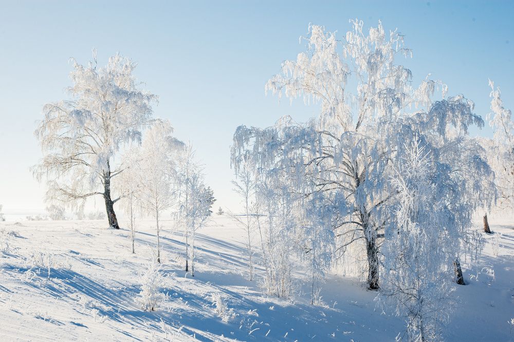 Фотография автора Рамиль Фаттахов