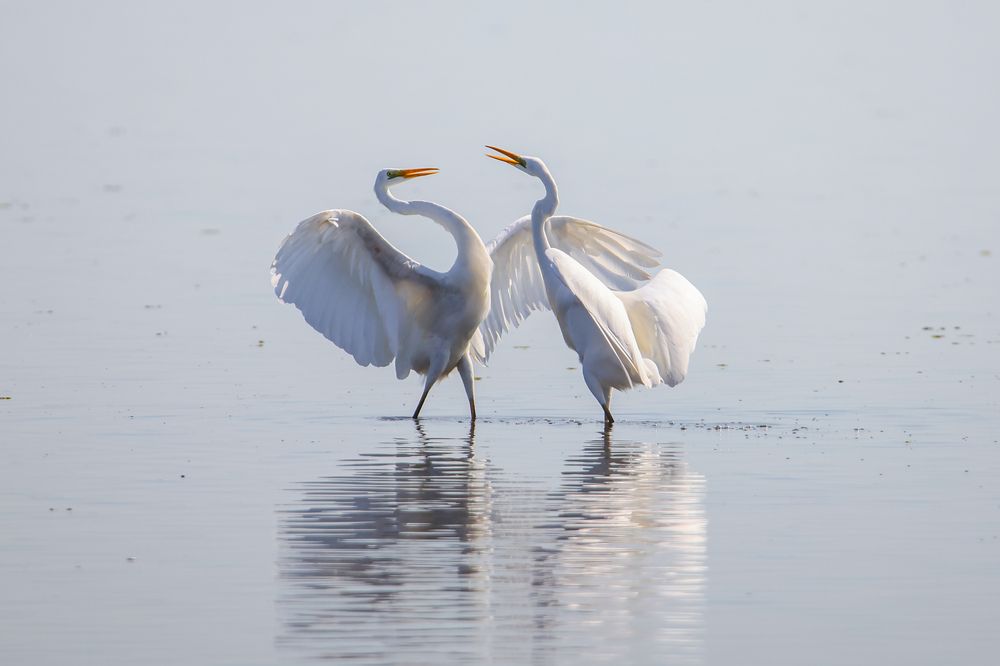 Photograph by Александр Ильин