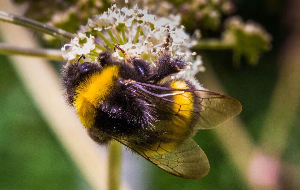 Photograph by Михаил Бояркин