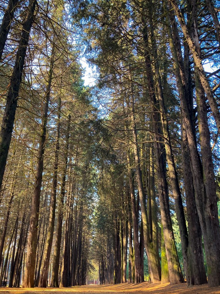 Monumentales y Estoicos