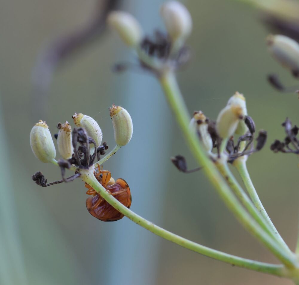 Photograph by Merav Zuberman Perkal