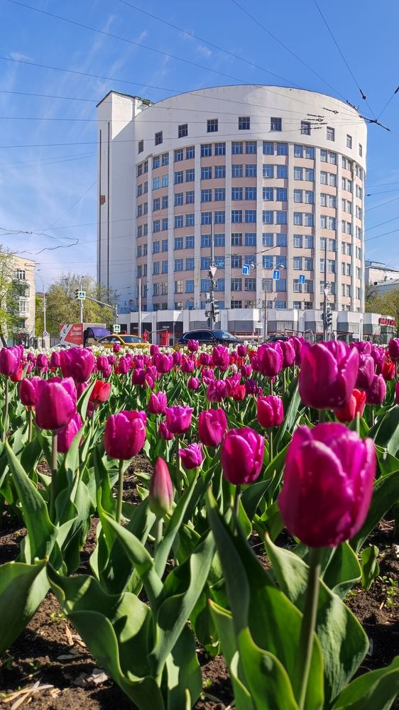 Photograph by Илья Сафаров