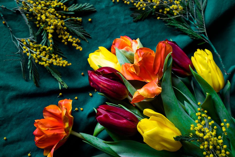 Фотография автора Василиса Новикова