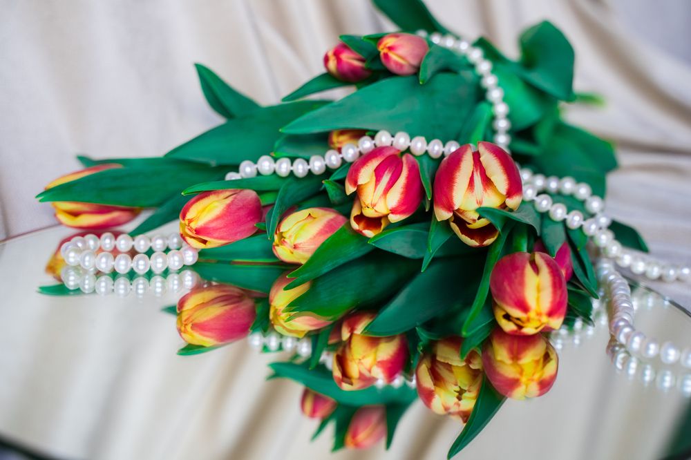 Фотография автора Василиса Новикова