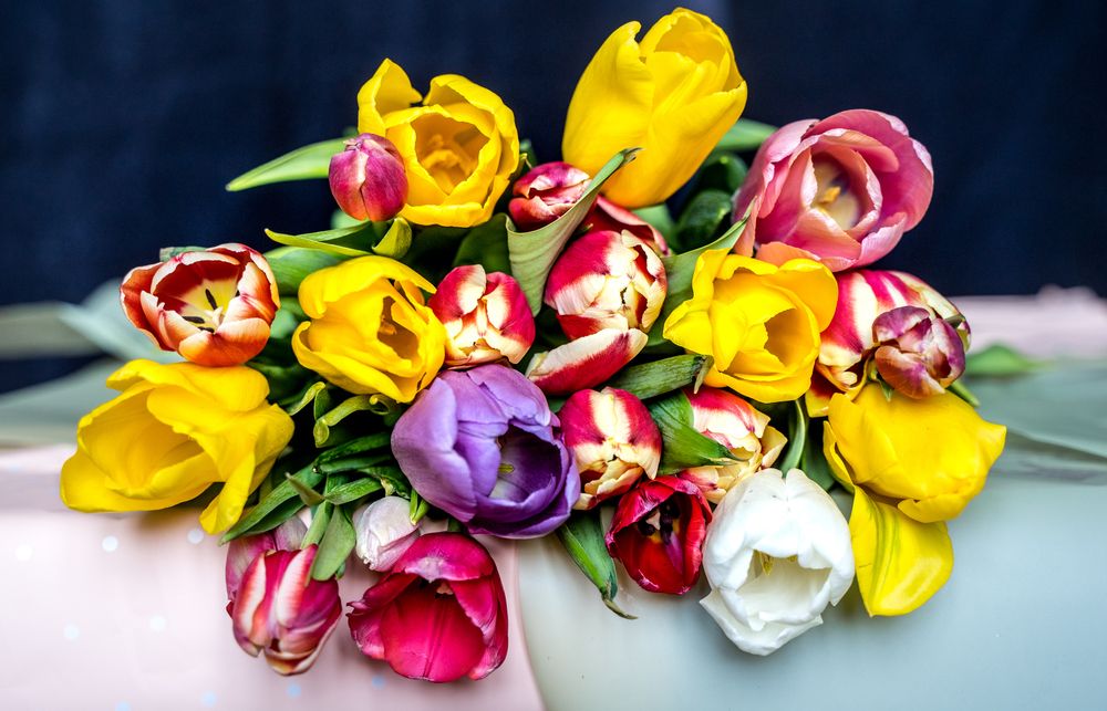 Фотография автора Василиса Новикова