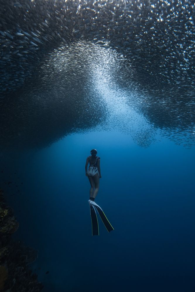 Immersed in nature's symphony