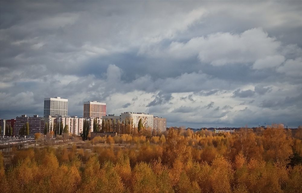 Фотография автора Юлия Нижура