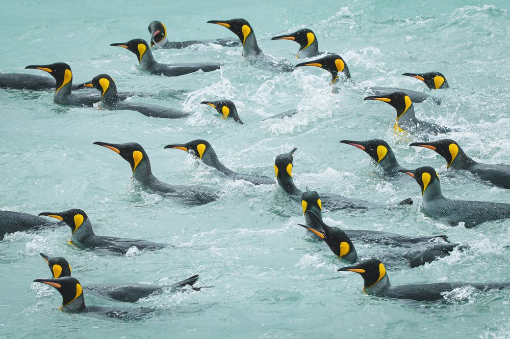 Photograph by Thien Nguyen Ngoc