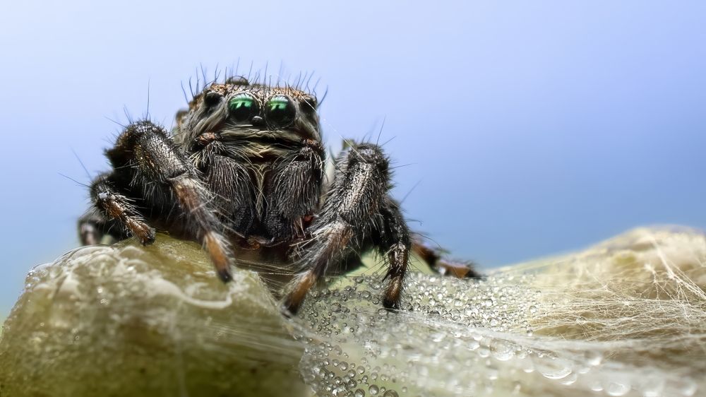 Photograph by Людмила Железнова