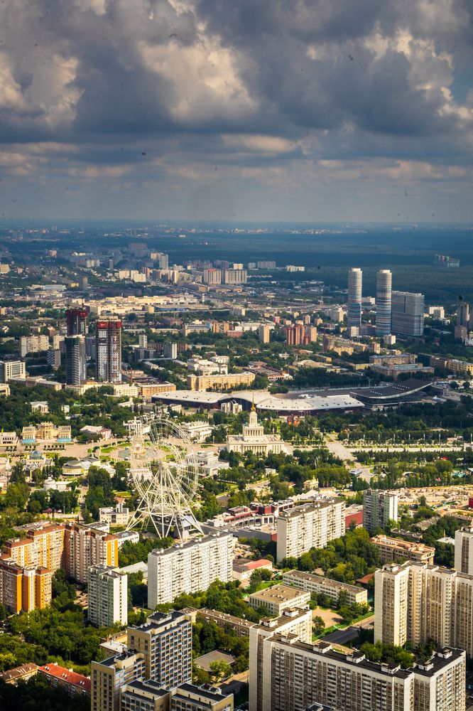 Фотография автора Василиса Новикова