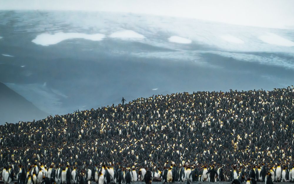 Photograph by Thien Nguyen Ngoc