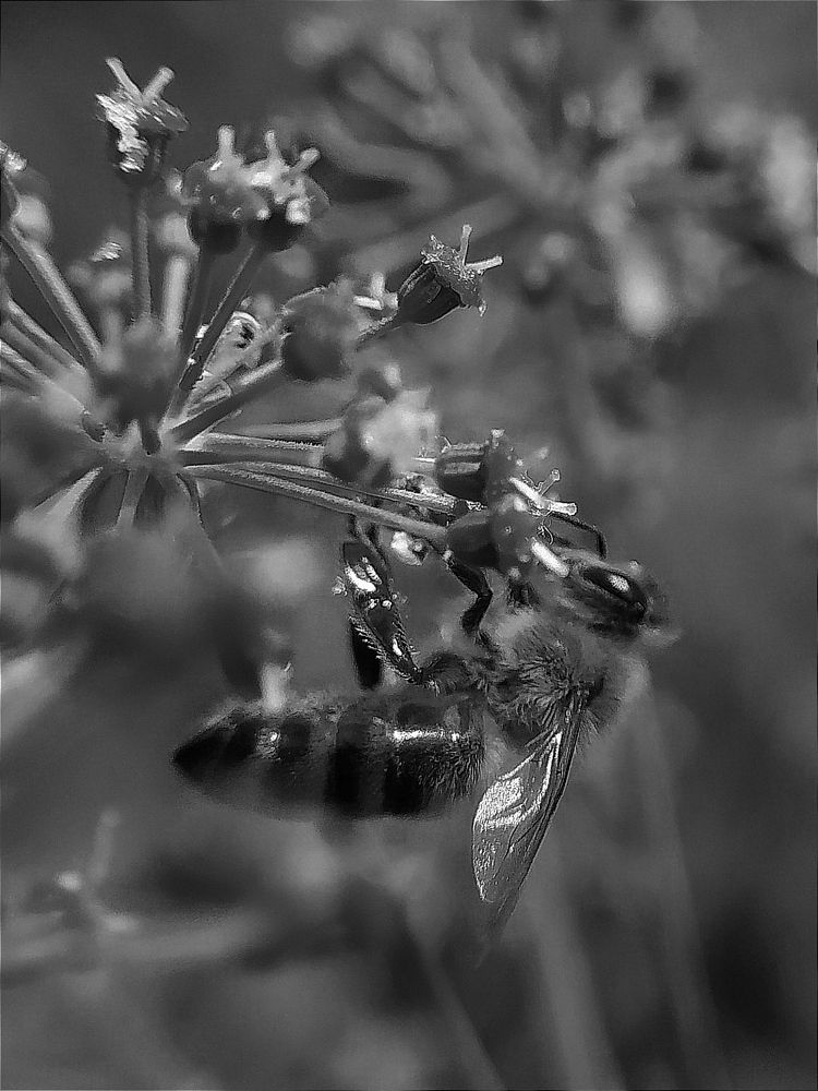 Photograph by Maryna Kukhtsikava