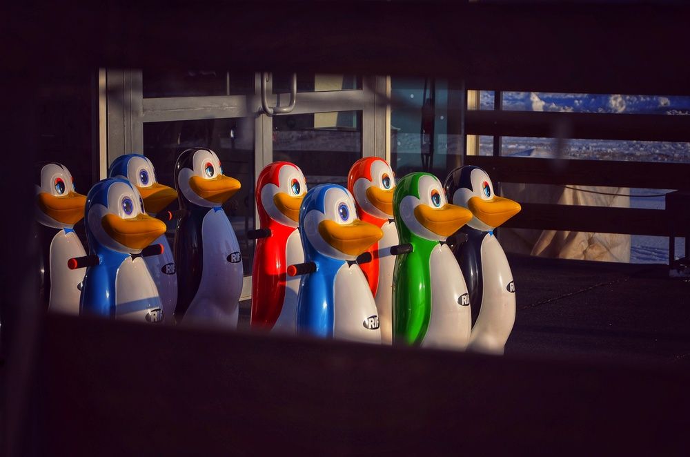 Photograph by Зыкова Мария