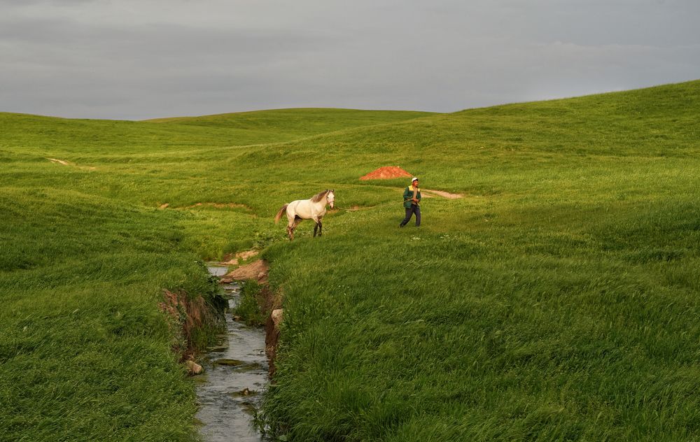 Photograph by Чунина Наталья