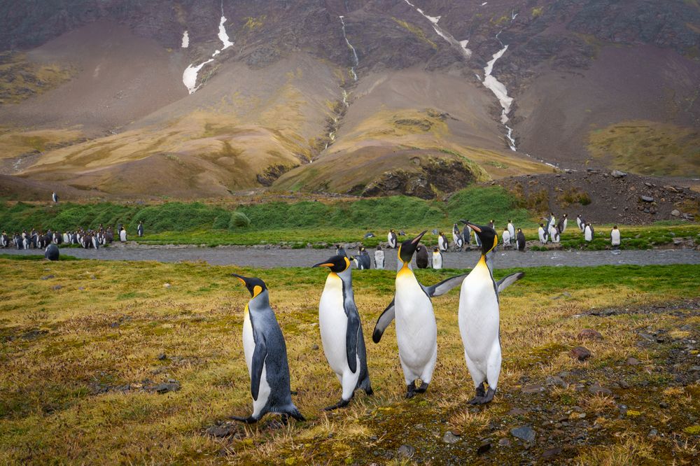 Photograph by Thien Nguyen Ngoc